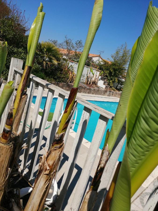 Les Bichettes Bed & Breakfast Mortagne-sur-Sevre Exterior photo