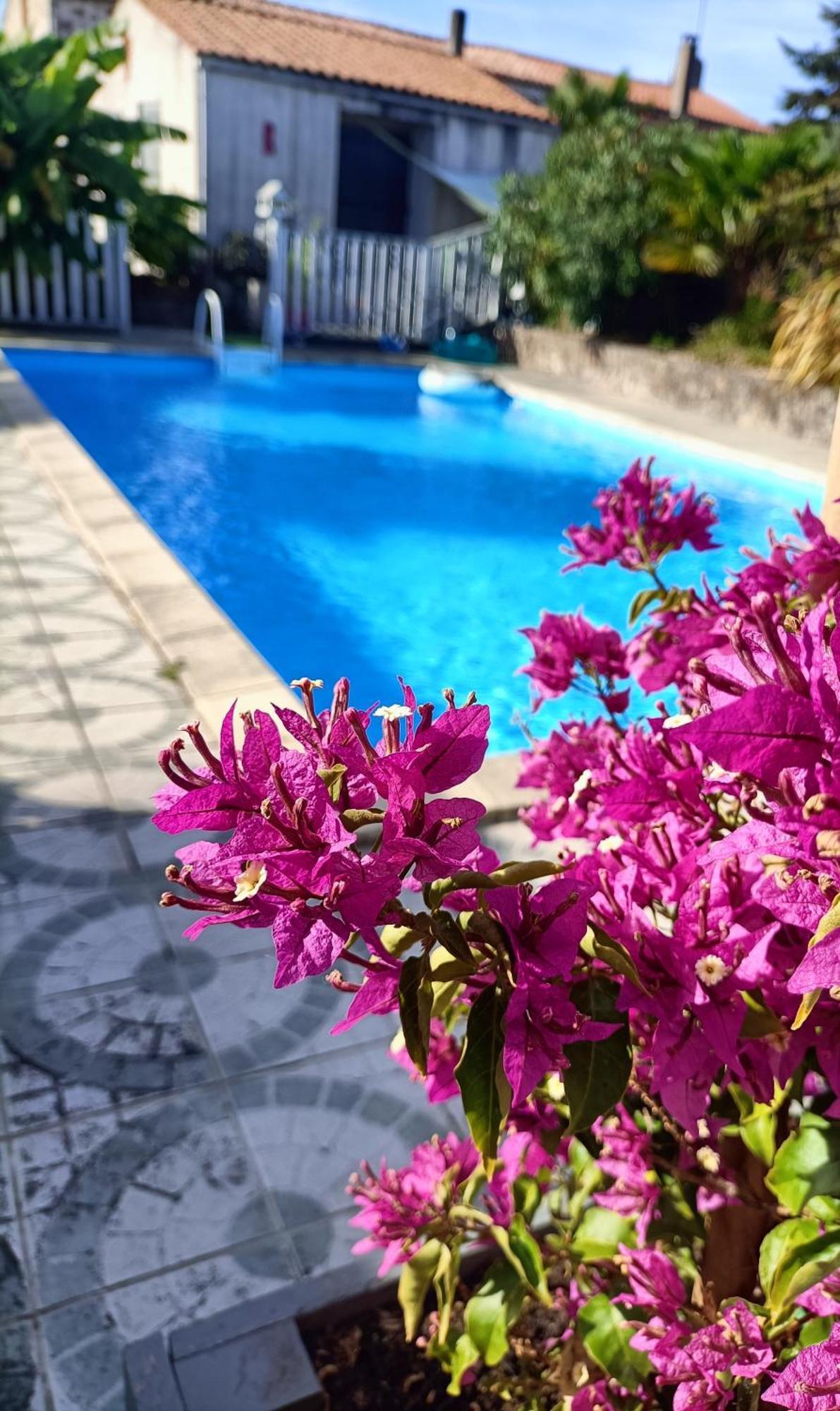 Les Bichettes Bed & Breakfast Mortagne-sur-Sevre Exterior photo